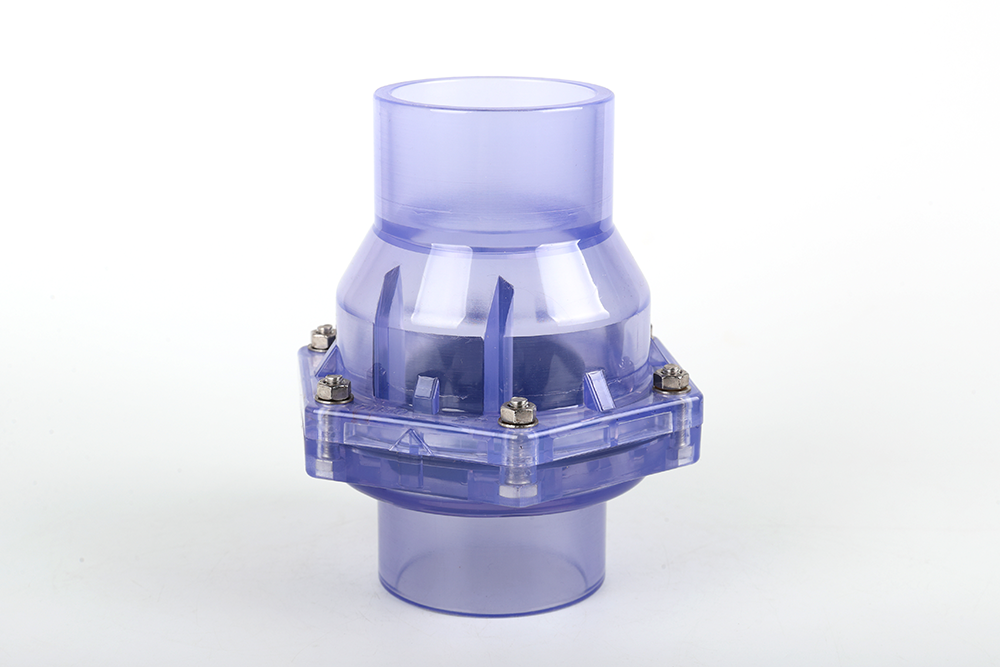 靖州透明翻板式止回阀